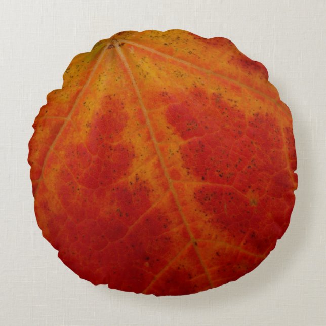 Abstrakte Herbstfotografie aus dem Ahornleaf Rundes Kissen (Vorderseite)