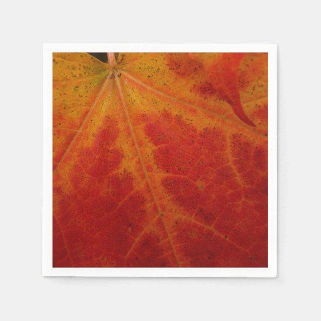 Abstrakte Herbstfotografie aus dem Ahornleaf Serviette (Vorderseite)