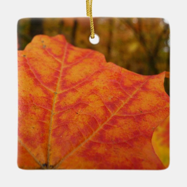 Abstrakte Herbstnatur in Orange und Rotem Ahornblä Keramikornament (Vorderseite)