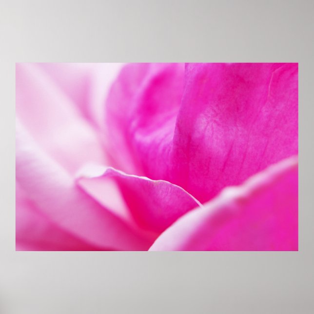 Abstrakte Hot-Pink-Blume Poster (Vorne)
