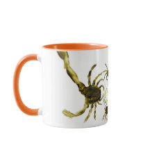 Abstrakte Krebse und Fisch-Rock-Pool für Tiere