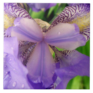 abstrakte lila Lilien-Blumen-Keramikfliese Fliese