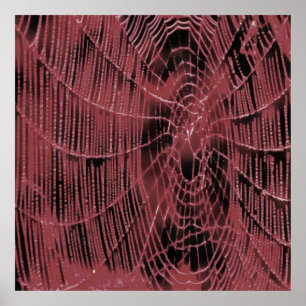 Abstrakte Malerei eines Magenta Pink Cobweb Poster