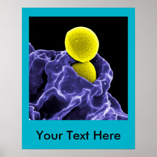 abstrakte Mikrobiologie Kunst kundenspezifische Po Poster