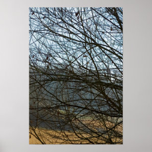 Abstrakte Natur Poster