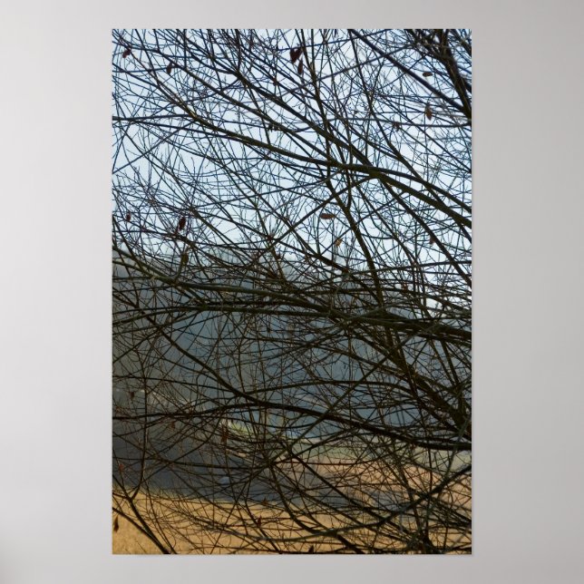 Abstrakte Natur Poster (Vorne)