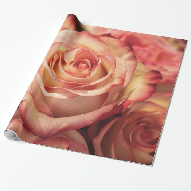 Abstrakte Peach Colour Rose Garten Geschenkpapier (Ungerollt)