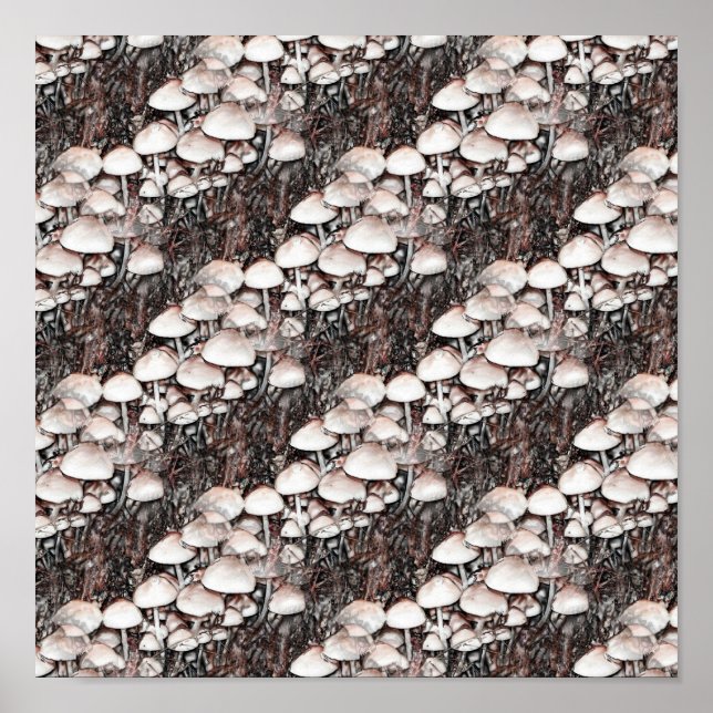 Abstrakte Pilze aus der Natur Poster (Vorne)