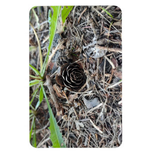 Abstrakte Pinecone-Blume Magnet