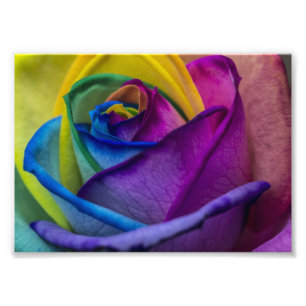 Abstrakte Rainbow-Rose Fotodruck