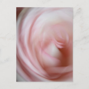 Abstrakte rosa Rose Postkarte