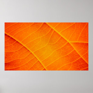 Abstrakte Schließung eines orangen und gelben Blat Poster