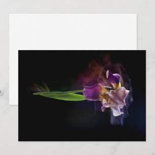 Abstrakte Schwertlilie – Elegante Blumenkunst Feiertagskarte
