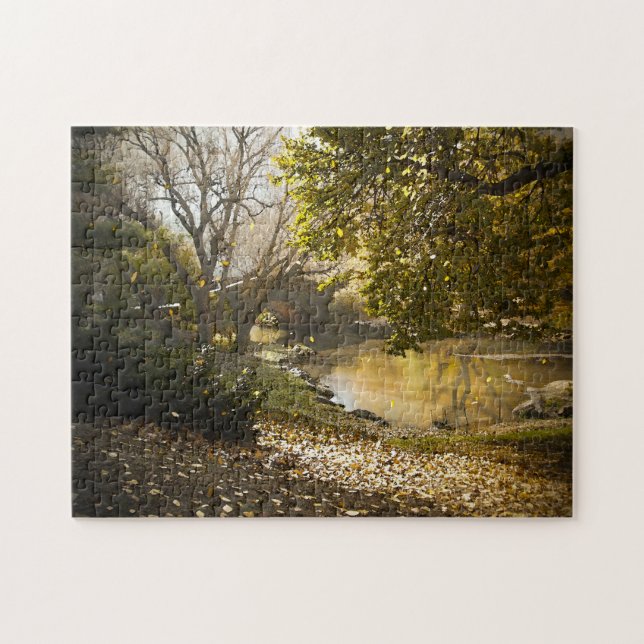 Abstrakte Szene. Central Park New York. Puzzle (Horizontal)