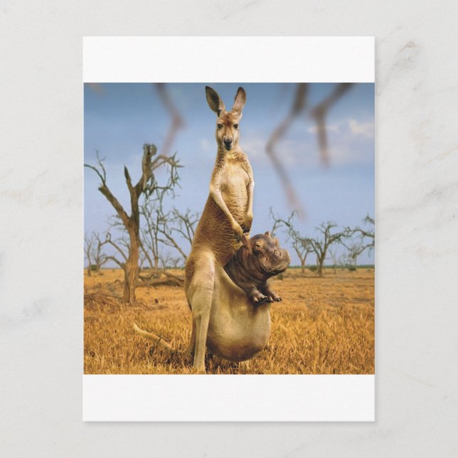 Abstrakte Tiere Kangaroo Kinderschock Postkarte (Vorderseite)