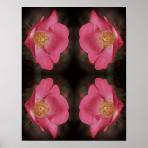 Abstrakte Vintage-Rosenblüten in Rosa Poster