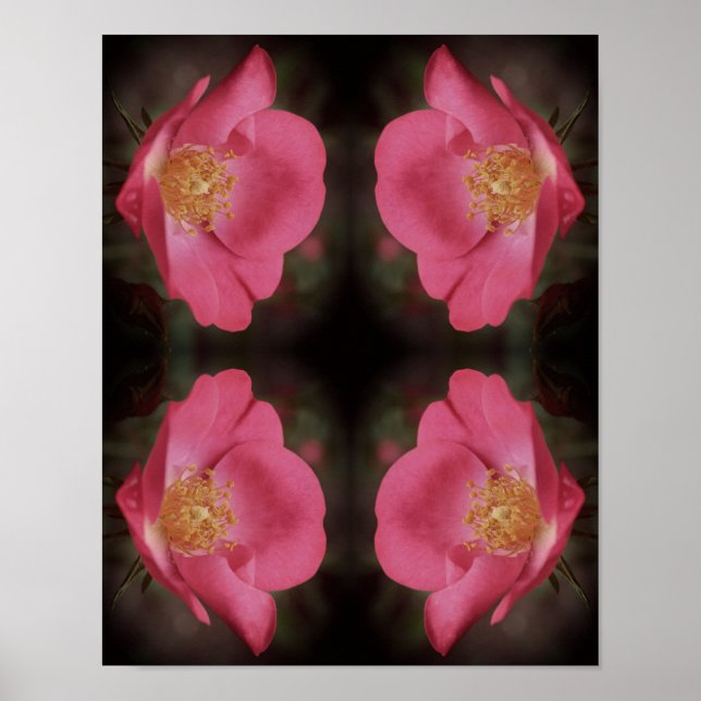 Abstrakte Vintage-Rosenblüten in Rosa Poster (Vorne)