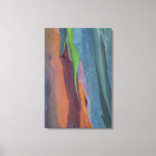 Abstrakte von Rainbow-Gum Leinwanddruck