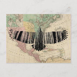Abstrakter Adler Tree Silhouetten Natur Tierart Postkarte