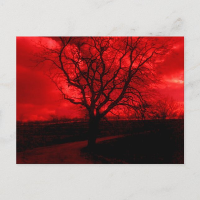 Abstrakter Baldbaum Postkarte (Vorderseite)