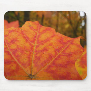 Abstrakter Herbst Natur Orange und Rotes Ahornblat Mousepad