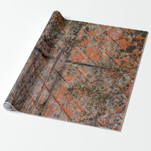 Abstrakter mehrfarbiger Grunge-Hintergrund mit abs Geschenkpapier