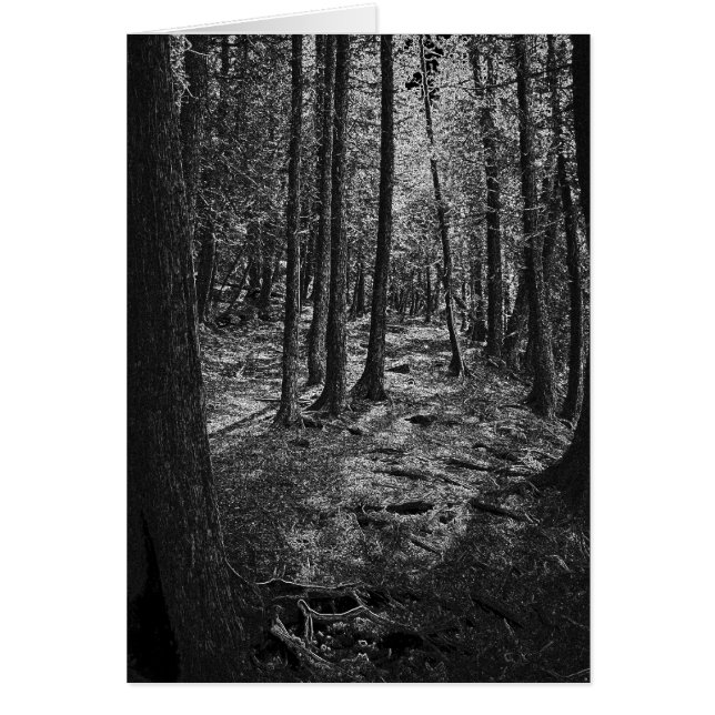 Abstrakter Wald (Vorne)