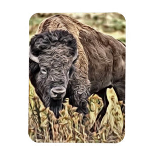Abstrakter Western Buffalo Magnet