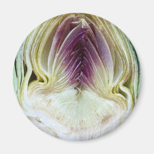 Abstraktes Beschaffenheits-Artischocken-Profil Magnet