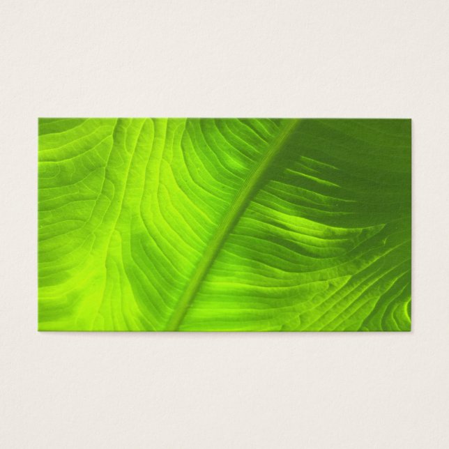 Abstraktes Elephant Ohr Foto mit/Rückblenden (Vorderseite)