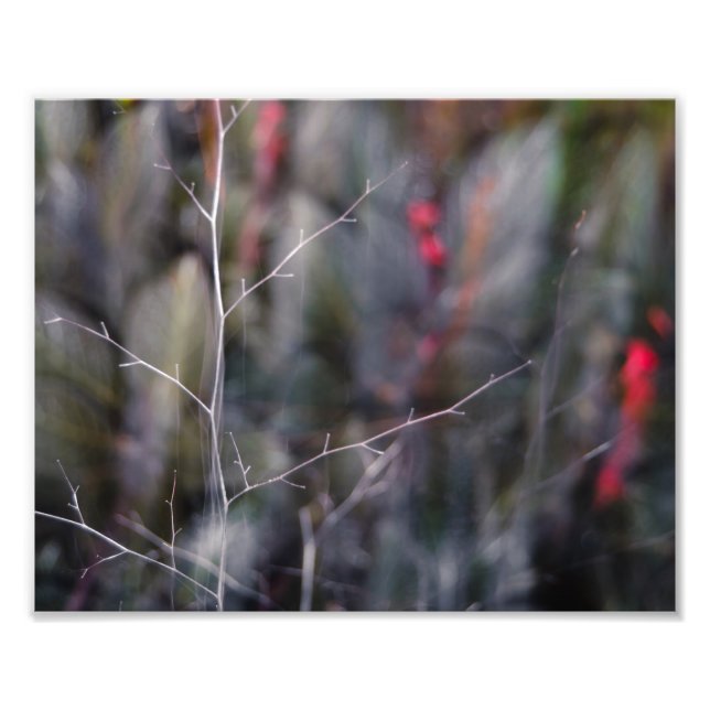 abstraktes Foto (Vorne)