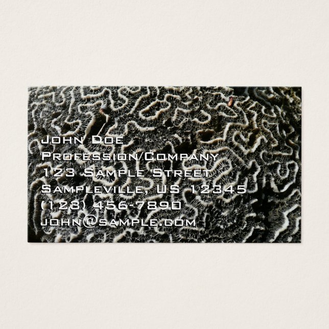 Abstraktes Foto der Schwarzen und Weißen Koralle I (Vorderseite)