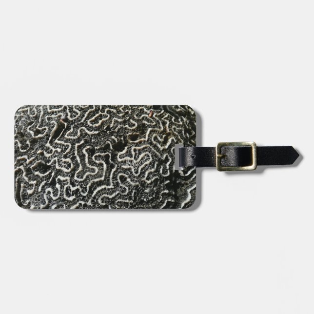 Abstraktes Foto der Schwarzen und Weißen Koralle I Gepäckanhänger (Vorderseite horizontal)