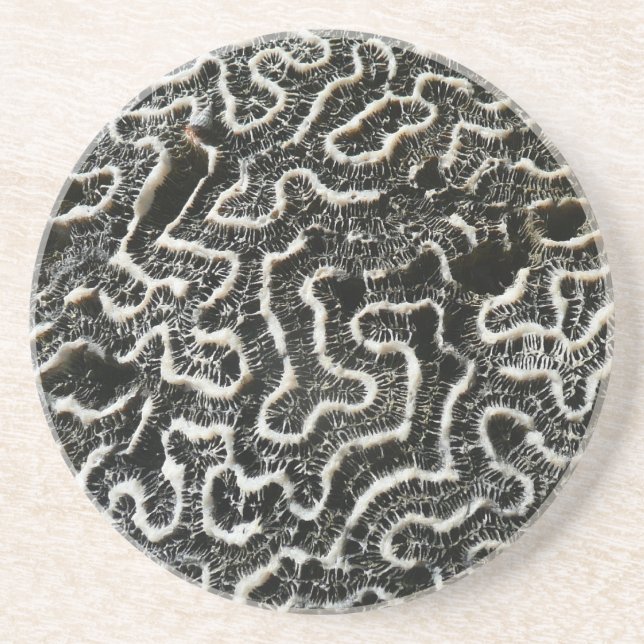 Abstraktes Foto der Schwarzen und Weißen Koralle I Untersetzer (Vorne)