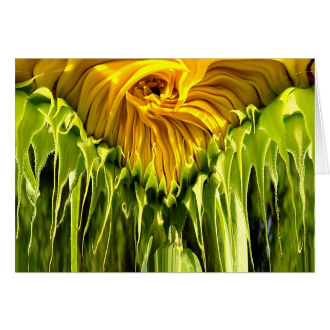 Abstraktes funky Retro Sonnenblume, ängstliche Geo (Vorderseite (Horizontal))