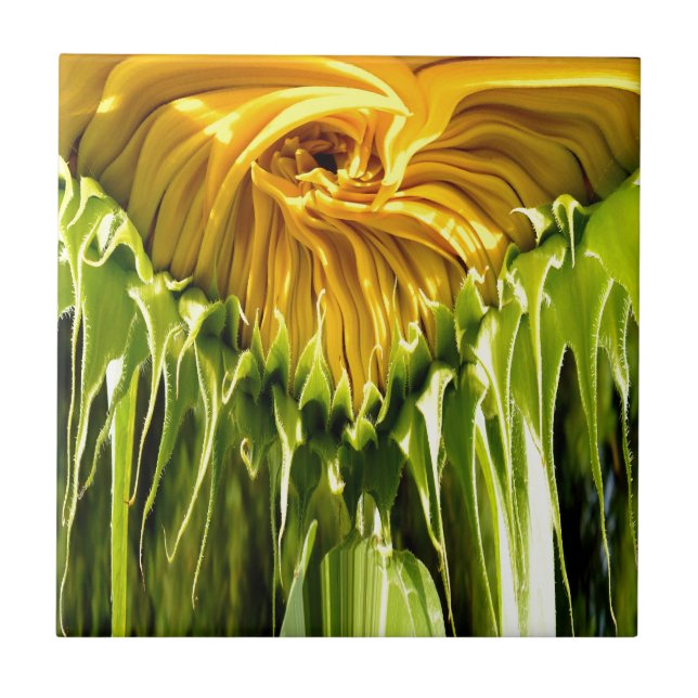 Abstraktes funky Retro Sonnenblume, ängstliche Geo Fliese (Vorderseite)