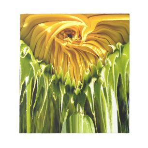 Abstraktes funky Retro Sonnenblume, ängstliche Geo Notizblock