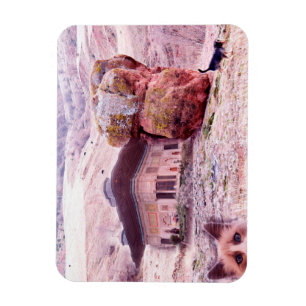 Abstraktes Funny Collage 3"x4" Foto Magnet