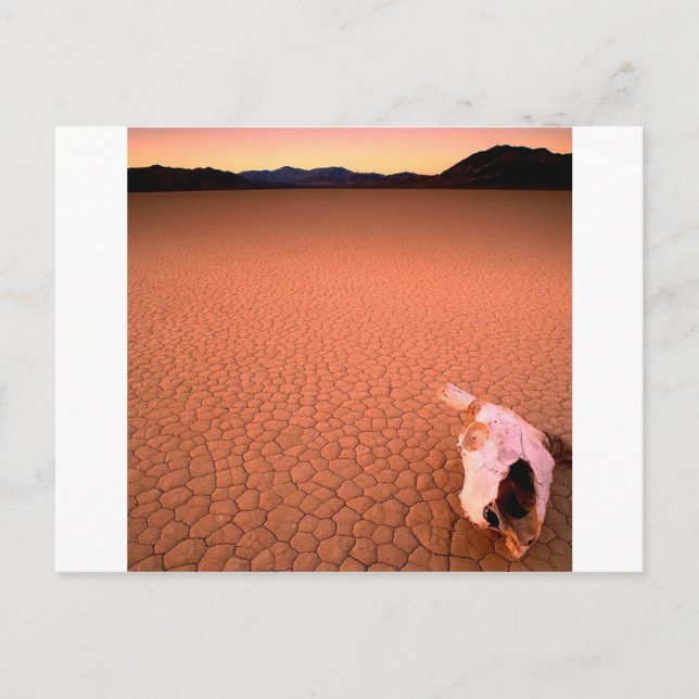 Abstraktes Knochentrockental Postkarte (Vorderseite)