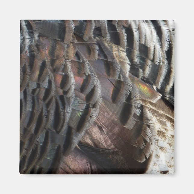 Abstraktes Naturdesign mit Wildtruthahnfedern Magnet (Vorne)