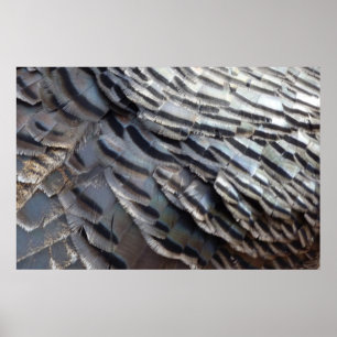 Abstraktes Naturdesign Wild Truthahn Federn II Poster