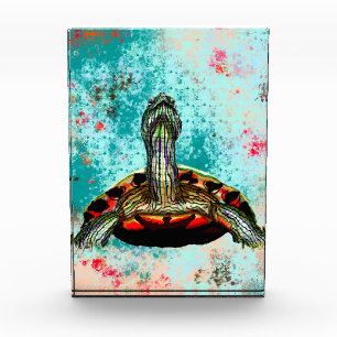 Abstraktes Schildkrötenwerk Fotoblock