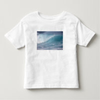 Absturz der Blauen Welle, Maui, Hawaii, USA 2