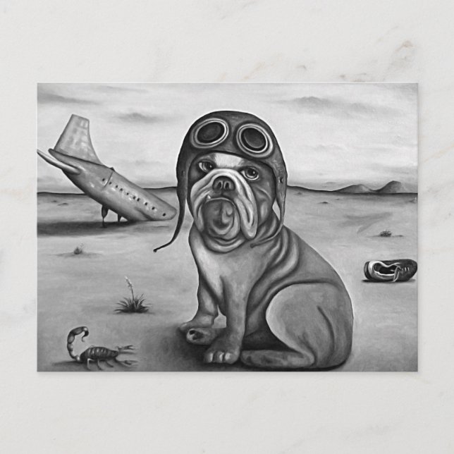 Absturz Postkarte (Vorderseite)