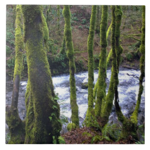 Absturz von Bridal Veil Falls, OR Fliese