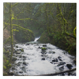 Absturz von Bridal Veil Falls, OR Fliese