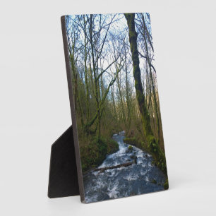 Absturz von Bridal Veil Falls, OR Fotoplatte