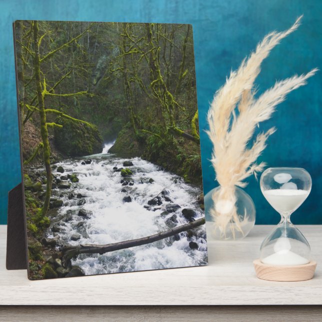 Absturz von Bridal Veil Falls, OR Fotoplatte (Seite)