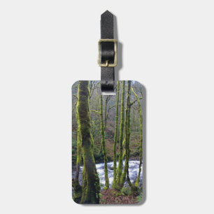 Absturz von Bridal Veil Falls, OR Gepäckanhänger