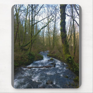 Absturz von Bridal Veil Falls, OR Mousepad